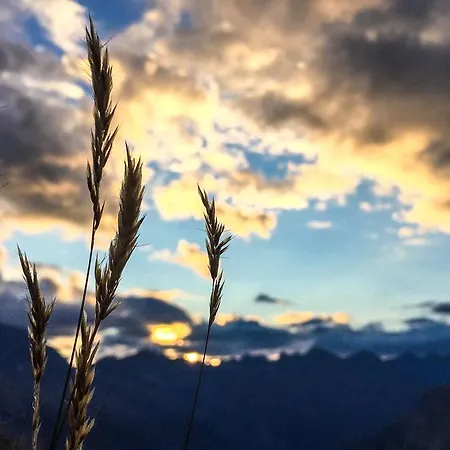 Lejlighedshotel Arno 3*