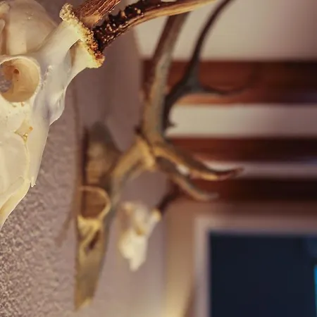 Arno 아파트호텔 3*